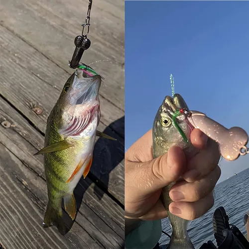 Miniatura 2 de Señuelos de Pesca Regalo de Broma para Hombres, Regalo de Elefante Blanco Día del Padre Pescador Pescadores Señuelos de Cucharas con Lentejuelas