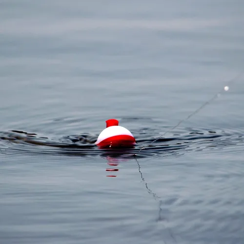 Miniatura 6 de PATIKIL Bobber de pesca, ABS botón redondo boya pesca flotador aparejos