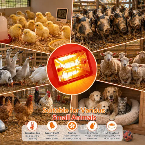 Miniatura 7 de Lámpara de calor para pollos, calentador de gallinero para pollitos con 2 bombillas de calefacción (250 W y 175 W), temperatura ajustable y alturas