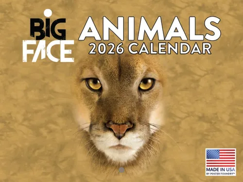 Miniatura 126 de Calendario alpaca 2026, calendario mensual de pared de 12 meses Hecho en Estados Unidos.