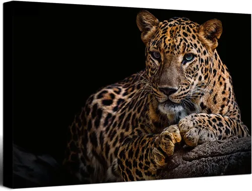 Miniatura 9 de Impresiones en lienzo de leopardo con fondo negro y vida silvestre dorada, arte de pared de leopardo y guepardo, ilustraciones para baño