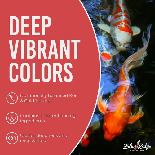 Miniatura 5 de Blue Ridge comida para peces Koi 2 libras - Fórmula de crecimiento mini para peces Koi, comida para peces dorados, comida premium para peces