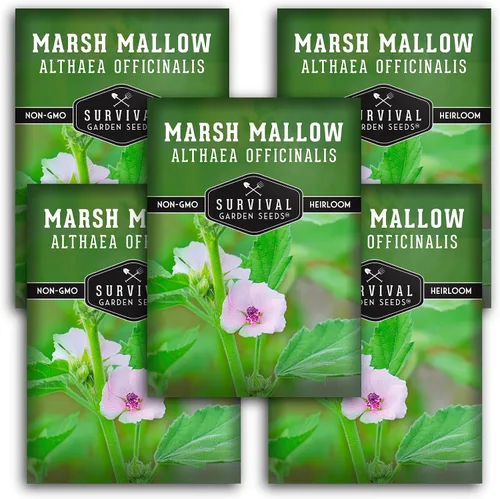 Miniatura 12 de Semillas de malvavisco para plantar, semillas de jardín de supervivencia (paquete de 1) Marsh Mallow Medicinal Herb, Althaea Officinalis