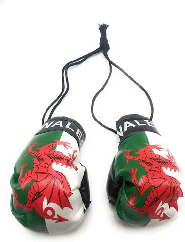 Miniatura 39 de Mini guantes de boxeo para colgar en el espejo del coche (Camerún)