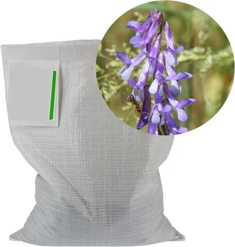 Miniatura 2 de Hairy Vetch - Semillas de cultivo de cobertura de invierno, 1 libra, cubierta de leguminosas de campo y pasto