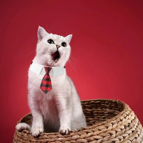 Miniatura 6 de Collar ajustable para perros pequeños, medianos y grandes, corbata de cumpleaños para perros (mediano, cuadros rojos/negros)