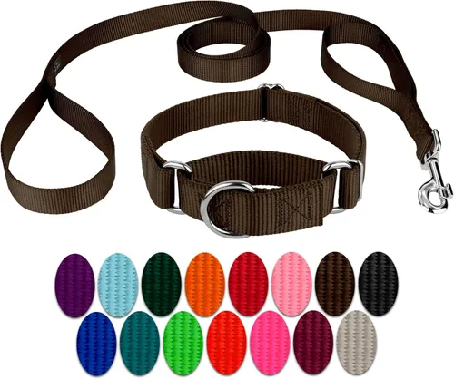 Miniatura 16 de Country Brook Petz - Collar para perro de nailon resistente Martingala azul hielo y correa de doble asa (1 pulgada, grande)