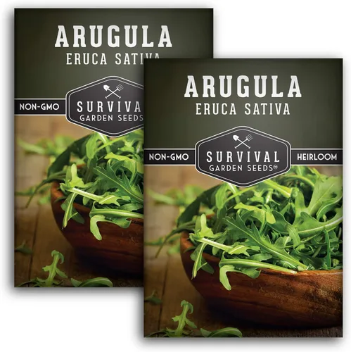 Survival Garden Seeds - Semillas de rúcula para plantar - 2 paquetes con instrucciones para cultivar verduras de hoja verde cohete de jardín en tu