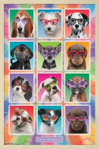Miniatura 7 de Trends International Keith Kimberlin - Póster de pared con diseño de cachorros, gafas de sol, 14.725 x 22.375 pulgadas, versión enmarcada de madera