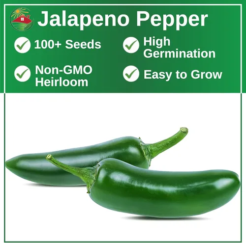 Miniatura 2 de TKE Farms & Gardens - Semillas de pimiento jalapeño para plantar, más de 100 semillas tradicionales sin OMG, huerto de interior y exterior