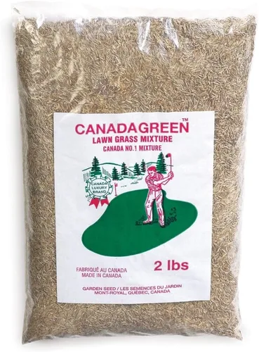 Canada Green Semillas de césped - Crece hierba verde rica y saludable, plantas de semillas de césped, patio, jardín, bolsa de 2 libras