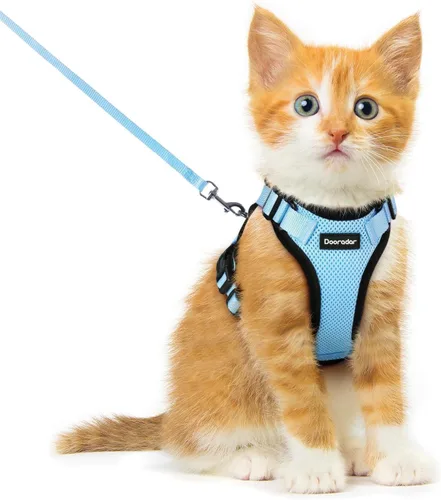 Miniatura 10 de Dooradar Juego de arnés y correa para gato, chaleco ajustable seguro a prueba de escapes, para caminar, chaqueta de malla suave y transpirable