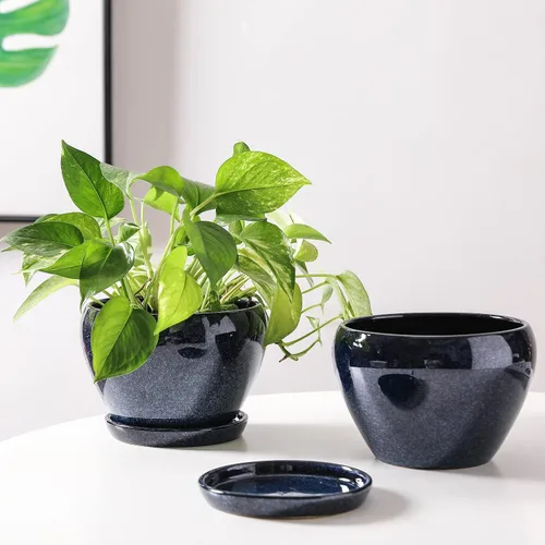 Miniatura 6 de vicrays Macetas de cerámica para plantas de interior - Maceta de 6.5 pulgadas con orificio de drenaje y platillo para suculentas, orquídeas, flores
