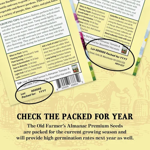 Miniatura 6 de The Old Farmer's Almanac Semillas de perejil Heirloom (hoja plana italiana verde oscuro) – Aproximadamente 1500 semillas – Sin OMG, polinizado
