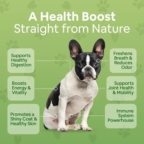 Miniatura 4 de Suplemento orgánico a base de plantas para la piel, el abrigo, la salud digestiva e inmunológica en perros (12 onzas); natural, holístico y aprobado