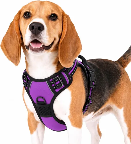 Miniatura 4 de Funfox Arnés para perro sin tirones, chaleco ajustable para mascotas con asa de control y clip frontal, diseño reflectante para perros pequeños