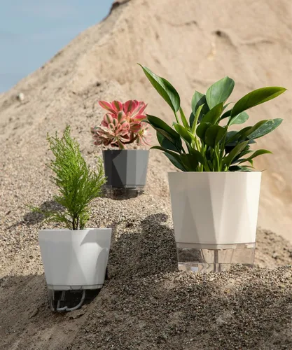 Miniatura 6 de Paquete de 6 macetas de plástico de 5 pulgadas con autorriego para interiores, modernas macetas decorativas para suculentas, aloe, hierbas, violetas