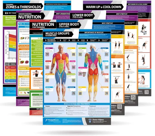 Miniatura 9 de Póster de gimnasio para grupos musculares y ejercicios, laminado, EXTRAGRANDE 33" x 23.5", tabla de pared de gimnasio y fitness en casa, incluye
