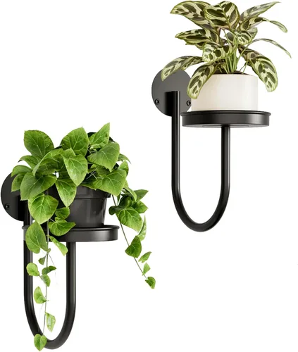 Miniatura 10 de Bamworld Macetas colgantes para plantas de interior, soporte para plantas de pared, colgador de plantas, macetas de pared para interiores, estantes