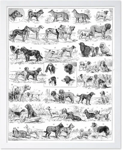 Miniatura 37 de Poster Master Póster vintage de miel, impresión retro de La Vie De L'Abeille, arte de panal de abeja, arte de pared de abeja, regalo para hombres