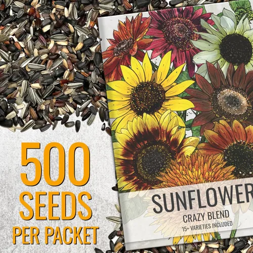 Miniatura 2 de Seed Needs Semillas de girasol para plantar la mezcla loca original Más de 500 semillas de reliquia, más de 15 variedades polinizadas abiertas