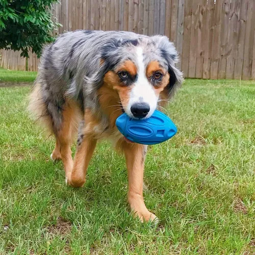 Miniatura 7 de EASTBLUE Juguetes para perros con sonido para masticadores agresivos: Bola de goma para cachorros con chirriador, juguete para mascotas casi
