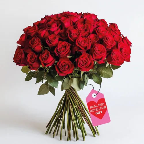 Miniatura 34 de GlobalRose Ramo de 50 rosas surtidas, rosas de origen responsable, flores frescas, ramo fresco de flores seleccionadas a mano para el día