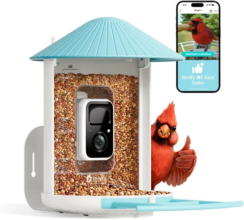 Miniatura 10 de NETVUE by Birdfy - Comedero inteligente para pájaros con cámara, cámara de observación de aves, video de captura automática y detección