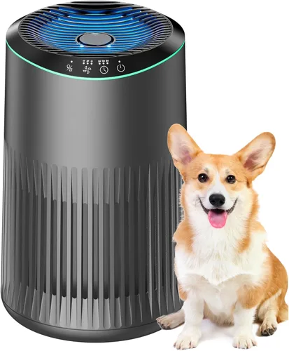 Purificadores de aire para el hogar, purificador de aire para olores de humo con esponja de fragancia, purificador de aire pequeño con modo de