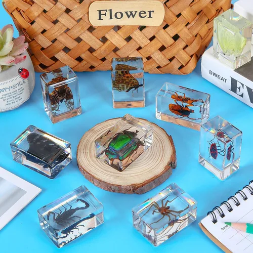 Miniatura 4 de Beeveer 9 piezas de insectos en resina, especímenes de insectos, colección de arañas, mariposas, juguetes de insectos, especímenes educativos