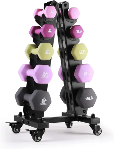 LIONSCOOL Juego de 2 mancuernas con revestimiento de neopreno, mancuernas hexagonales antideslizantes y que no se ruedan en par para entrenamiento