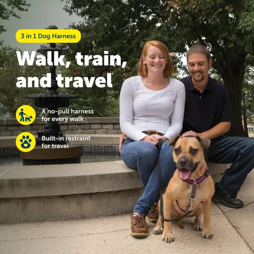 Miniatura 2 de Arnés PetSafe 3 en 1, de los fabricantes del arnés Easy Walk, XS
