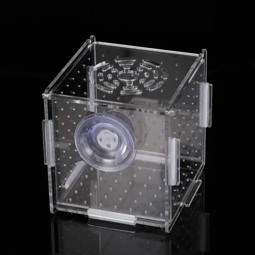 Miniatura 8 de Caja de cría de peces, caja de incubadora de incubadora, cajas de cría de peces de acuario, cajas divisorias para eclosionar, accesorio