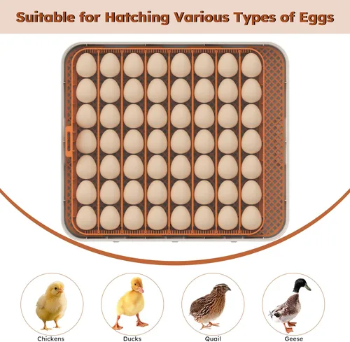 Miniatura 7 de Incubadora de huevos para incubar 56 huevos de pollo, pato, codorniz y ganso - Girador automático de huevos, control de humedad y temperatura, vela