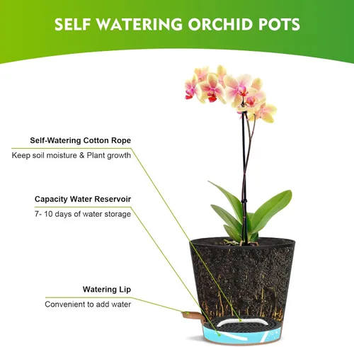 Miniatura 4 de JGB 4 macetas de orquídeas con agujeros, cada una de 5, 6, 7 y 8 pulgadas, macetas de orquídeas de riego automático y macetas de plástico Negro