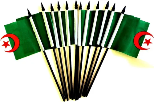 Miniatura 116 de World Flags Direct Banderas en miniatura de poliéster de Afganistán, paquete de 12, decoración de mesa de fiesta, desfiles, 4 x 6 pulgadas, verde