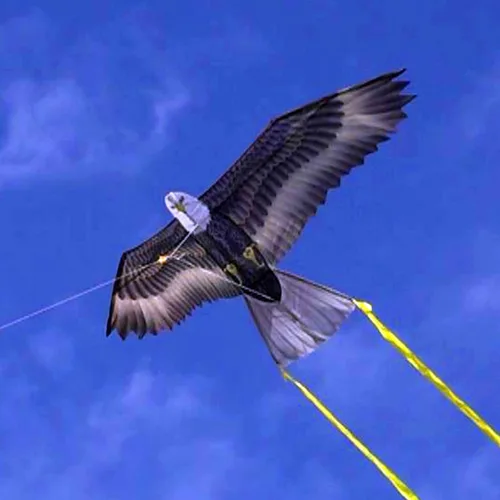 Miniatura 6 de Wind n Sun - Cometa de nailon con forma de águila rapa, 70 pulgadas