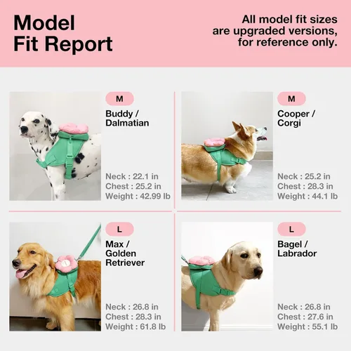Miniatura 5 de VETRESKA Flora - Juego de arnés para perro, correa y collar, arnés de chaleco para perro sin tirones para caminar y entrenar, ajustable, fácil