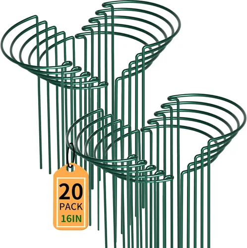 Miniatura 13 de TCBWFY Paquete de 10 estacas de soporte para plantas de peonía, 10 pulgadas de ancho x 16 pulgadas de alto, jaulas de peonía de alta resistencia