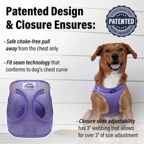 Miniatura 2 de Doggie Design Arnés para perro – Arnés sin estrangulamiento para mascotas, chaleco para perro, malla de poliéster, diseño simple, chaleco