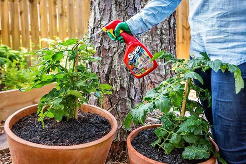 Miniatura 2 de Sevin Asesino de insectos listo para usar, botella de 1 cuarto de galón