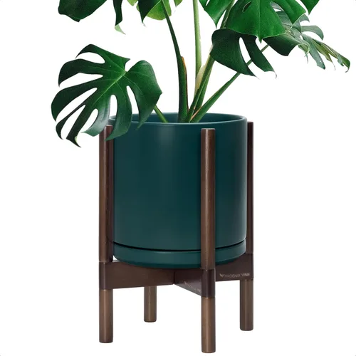 Miniatura 83 de D'vine Dev Maceta de cerámica con soporte de ébano – Maceta redonda moderna de 8 pulgadas con soporte para maceta de madera, color negro, 55-B-M-2