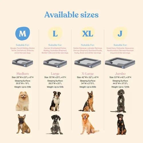 Miniatura 5 de Sofá cama ortopédica para perros – Camas ultra cómodas para perros medianos – Cama transpirable e impermeable para mascotas – Sofá cama de espuma