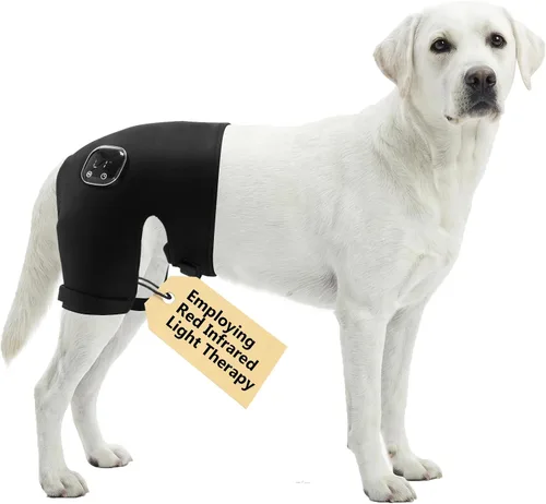 Miniatura 9 de Soporte de cadera para perro con terapia de luz infrarroja roja - Alivio del dolor para artritis, displasia de cadera, problemas de columna