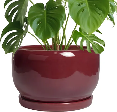 Miniatura 27 de SQOWL Macetas de cerámica – Maceta de 6 pulgadas con orificio de drenaje y bandeja, maceta redonda para plantas de interior, maceta decorativa