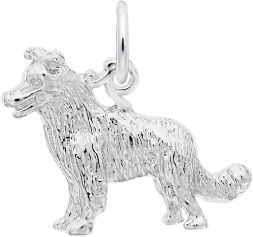 Rembrandt Border Collie Perro Encanto