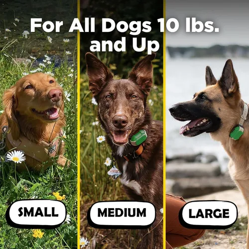 Miniatura 6 de Dogtra CUE Verde – Collar electrónico para entrenamiento de perros con control remoto – Entrenamiento hecho fácil para dueños de perros cotidianos