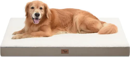 Miniatura 116 de Cama ortopédica de felpa para perros y cachorros medianos, camas impermeables para perros de 30 x 20 pulgadas con funda extraíble lavable, tapete