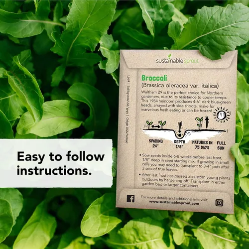 Miniatura 8 de Kit de 13 unidades de semillas de verduras Heirloom – 100% no transgénico para plantar en tu jardín interior o exterior: Tomate, pimientos