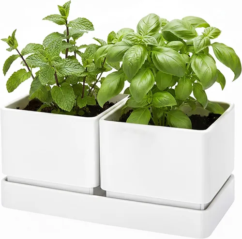 Miniatura 8 de D'vine Dev Juego de macetas de jardín de hierbas para interiores, macetas de plástico para alféizar de ventana con drenaje y platillo, maceta